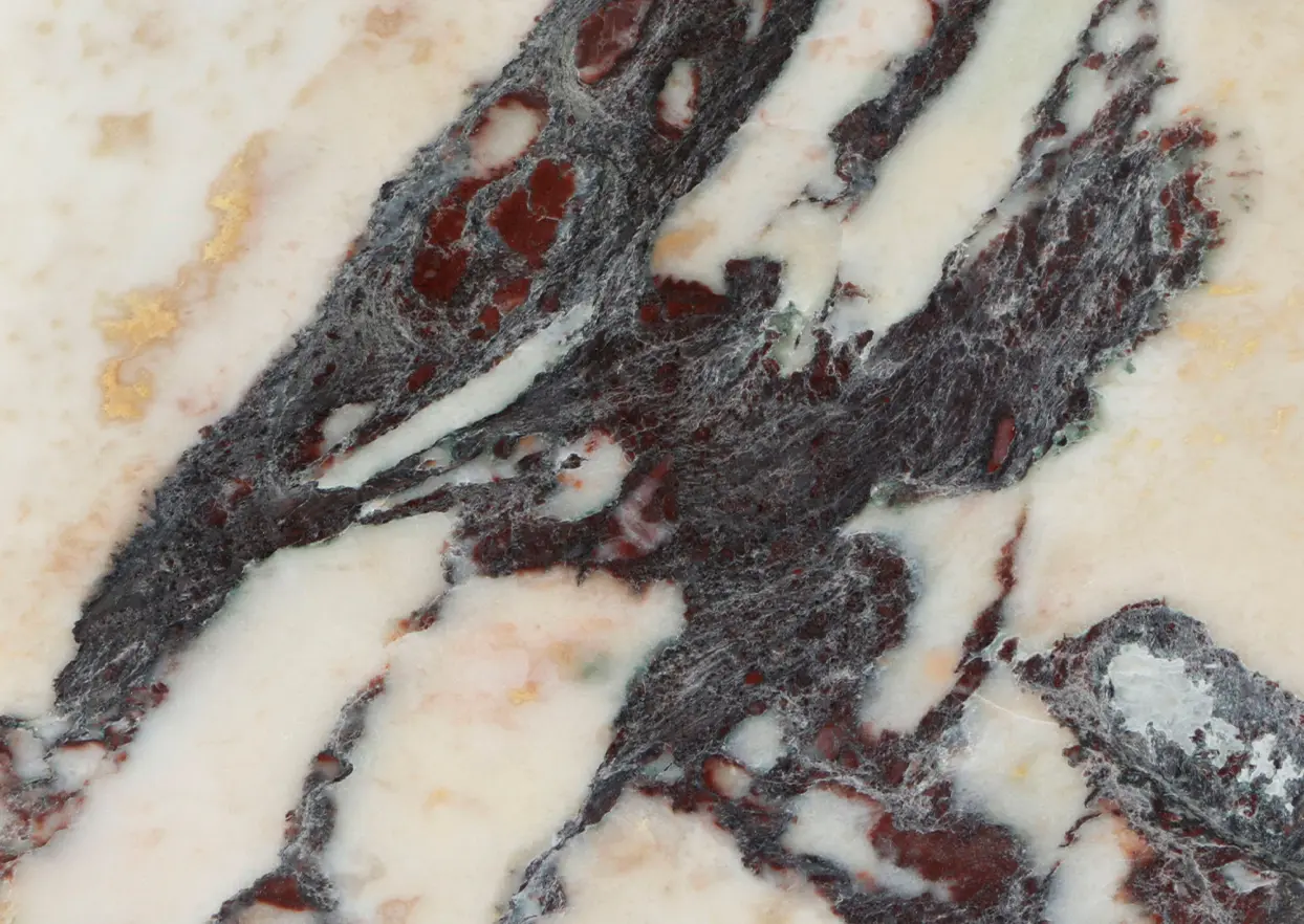 Calacatta Viola**