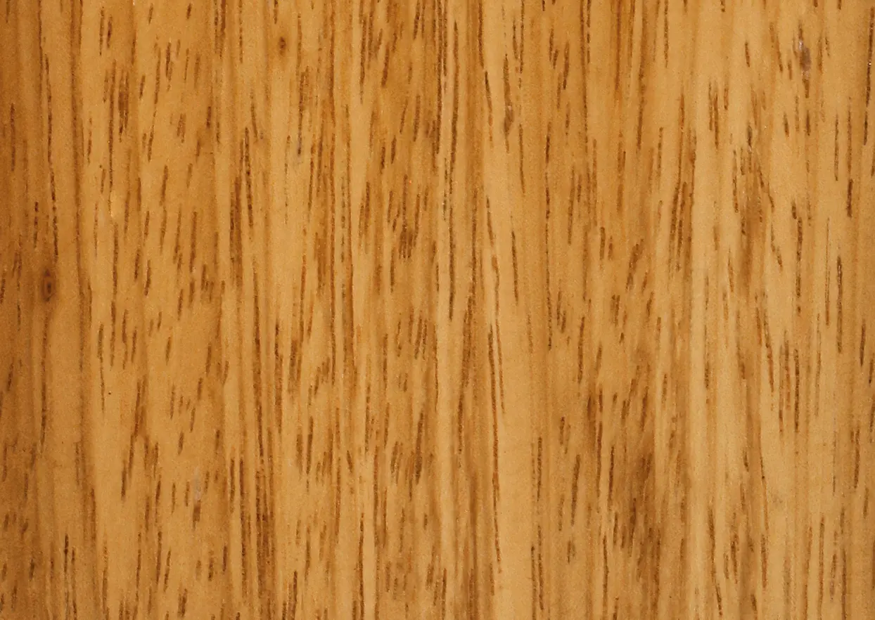 Iroko