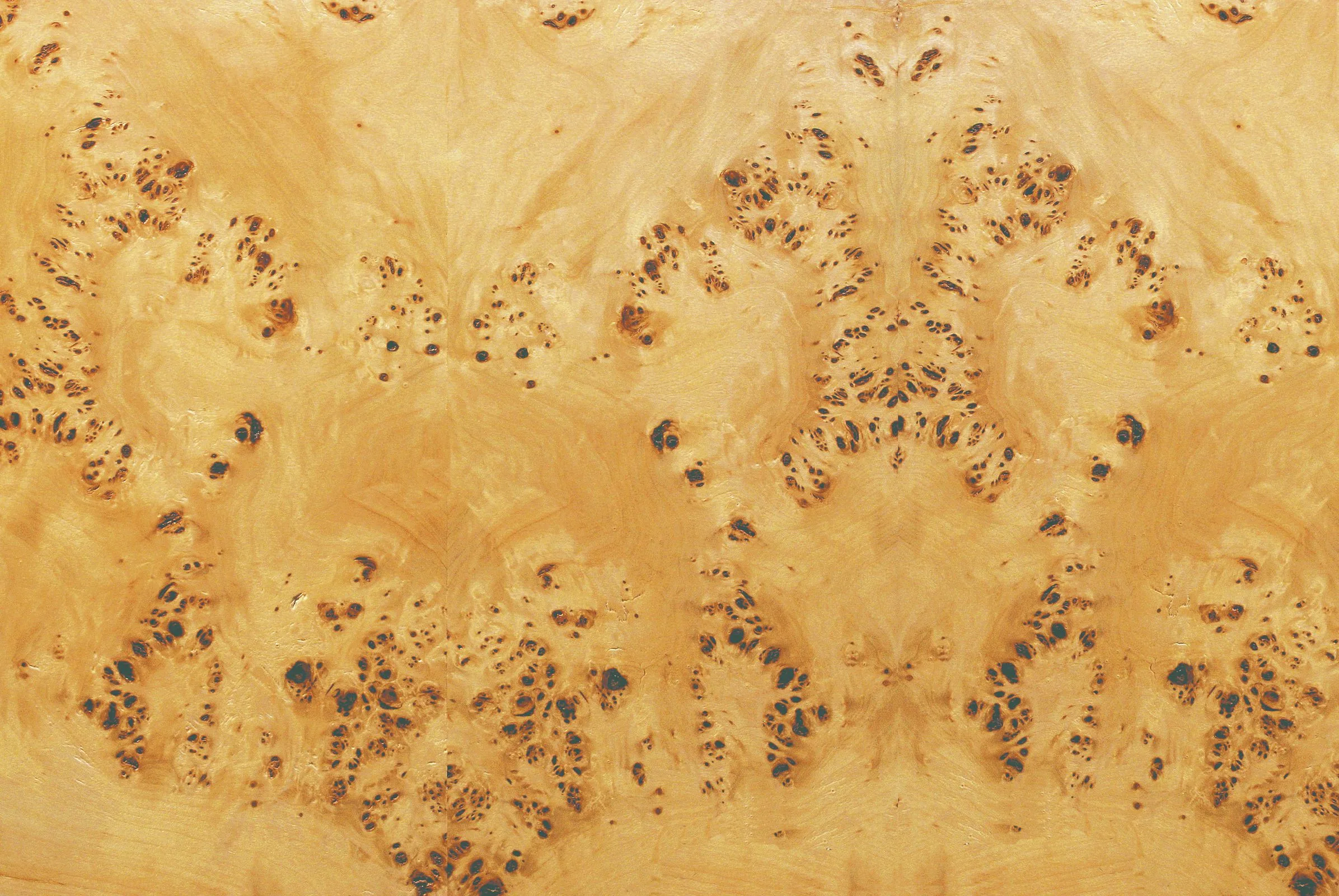Poplar burl natural