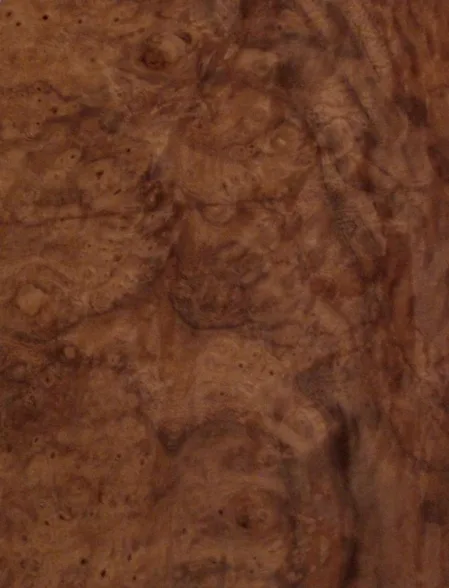 Walnut burl natural