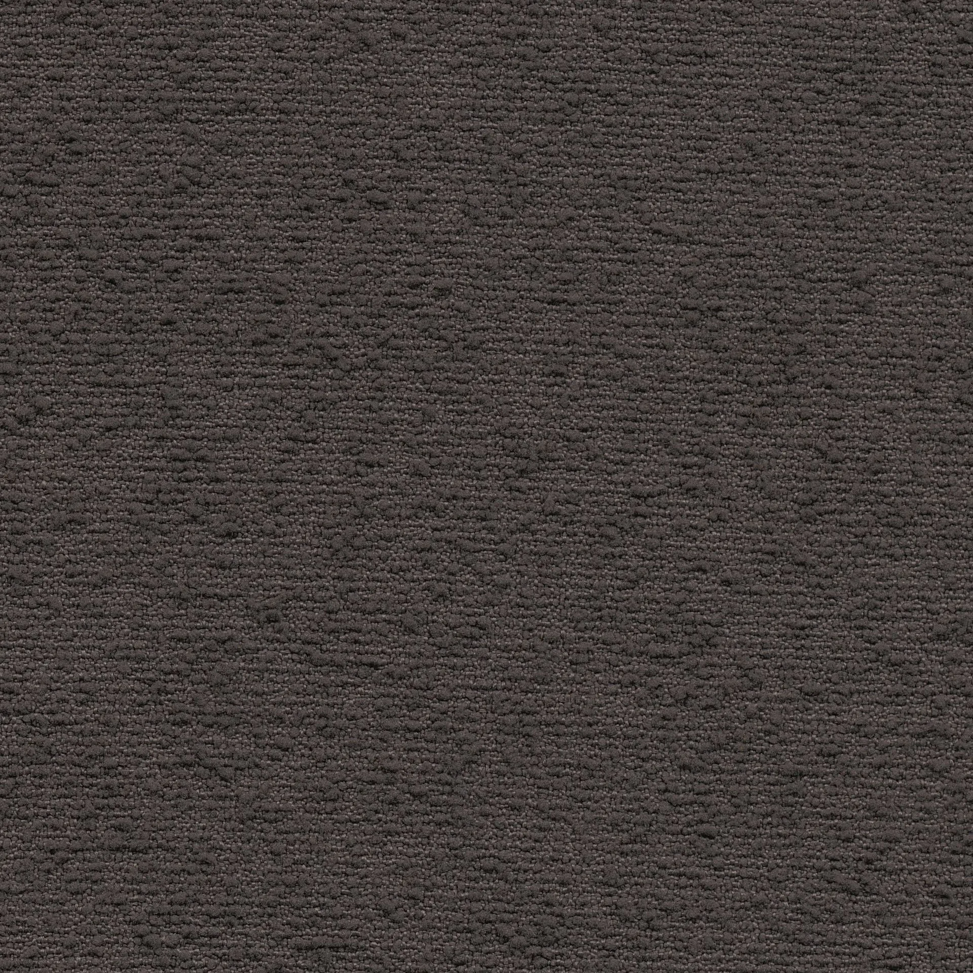 3 - dark brown - Bouclé (FR)