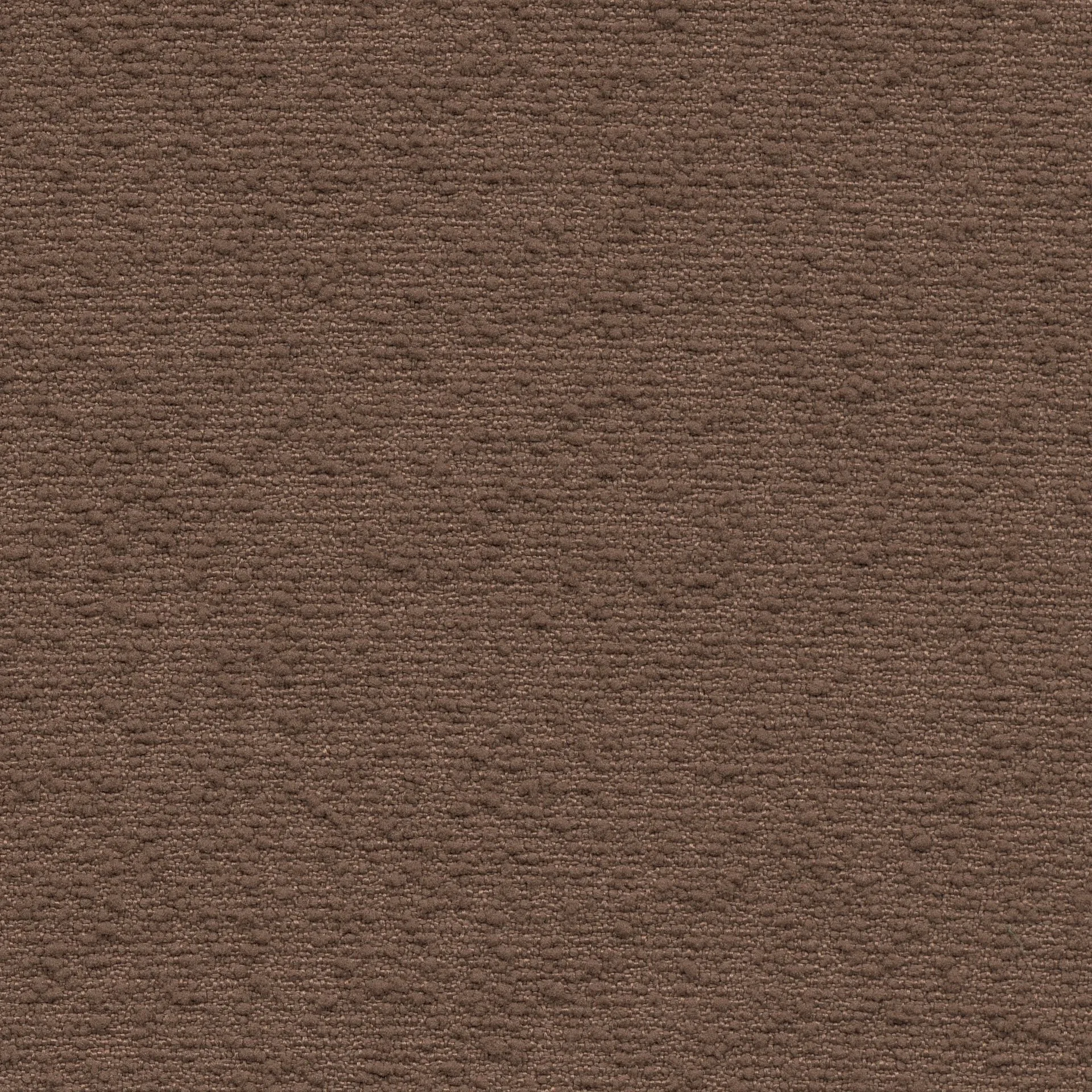3 - brown - Bouclé (FR)