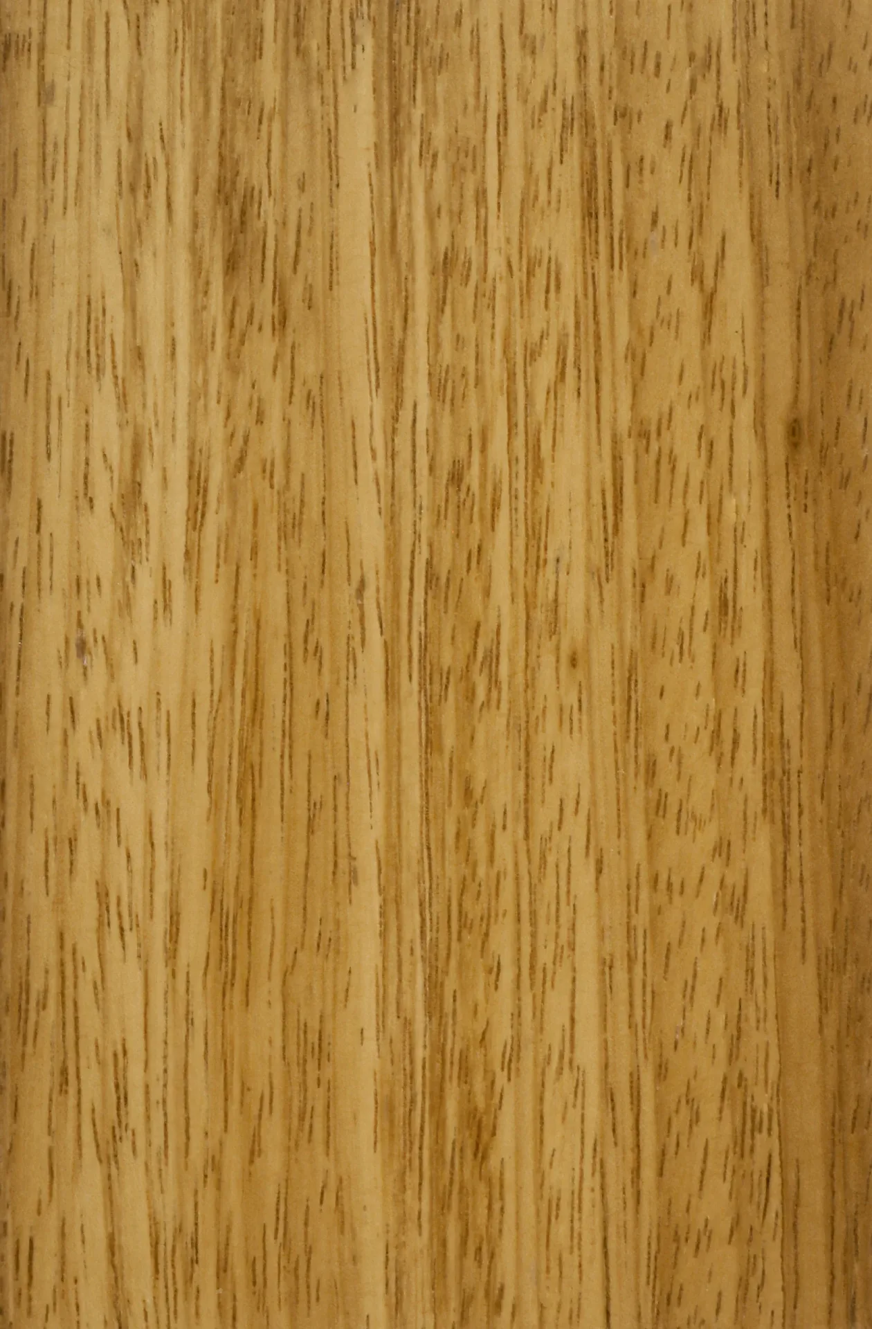 Iroko natural