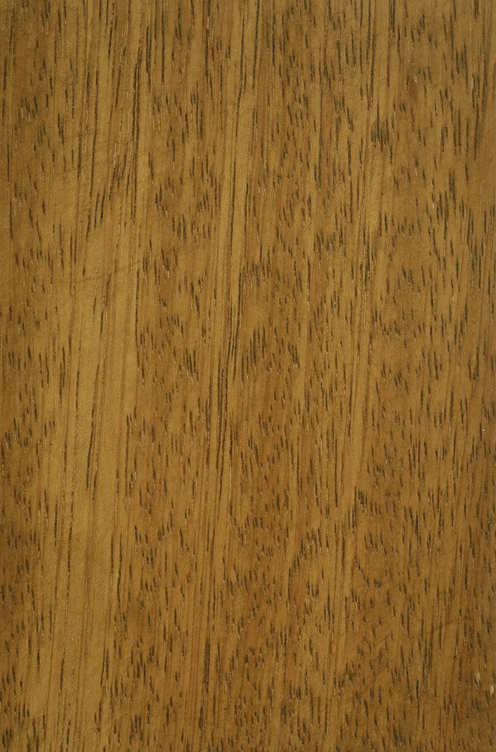Iroko medium