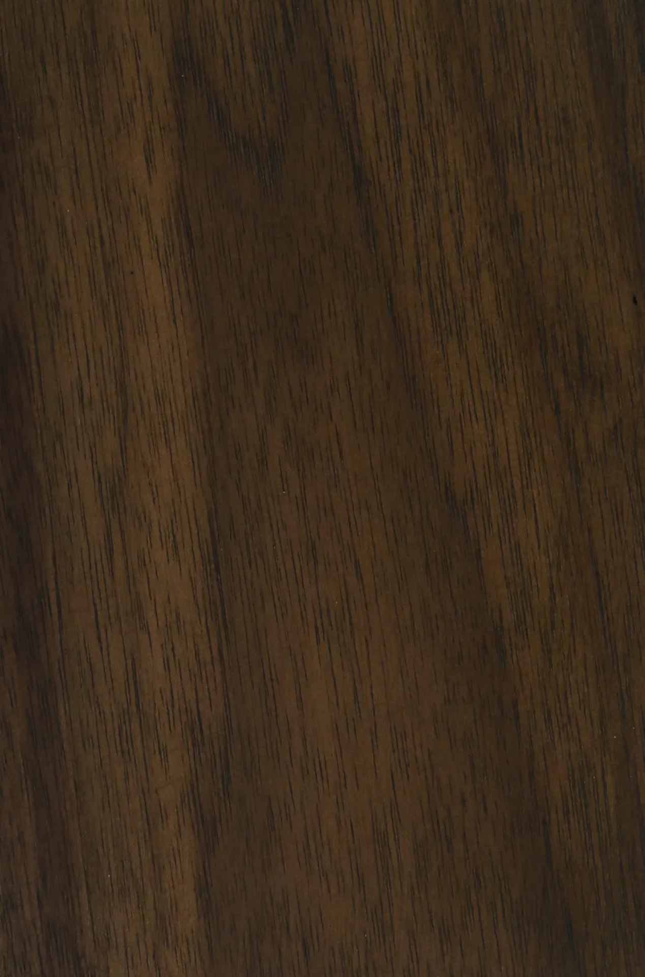 American walnut dark