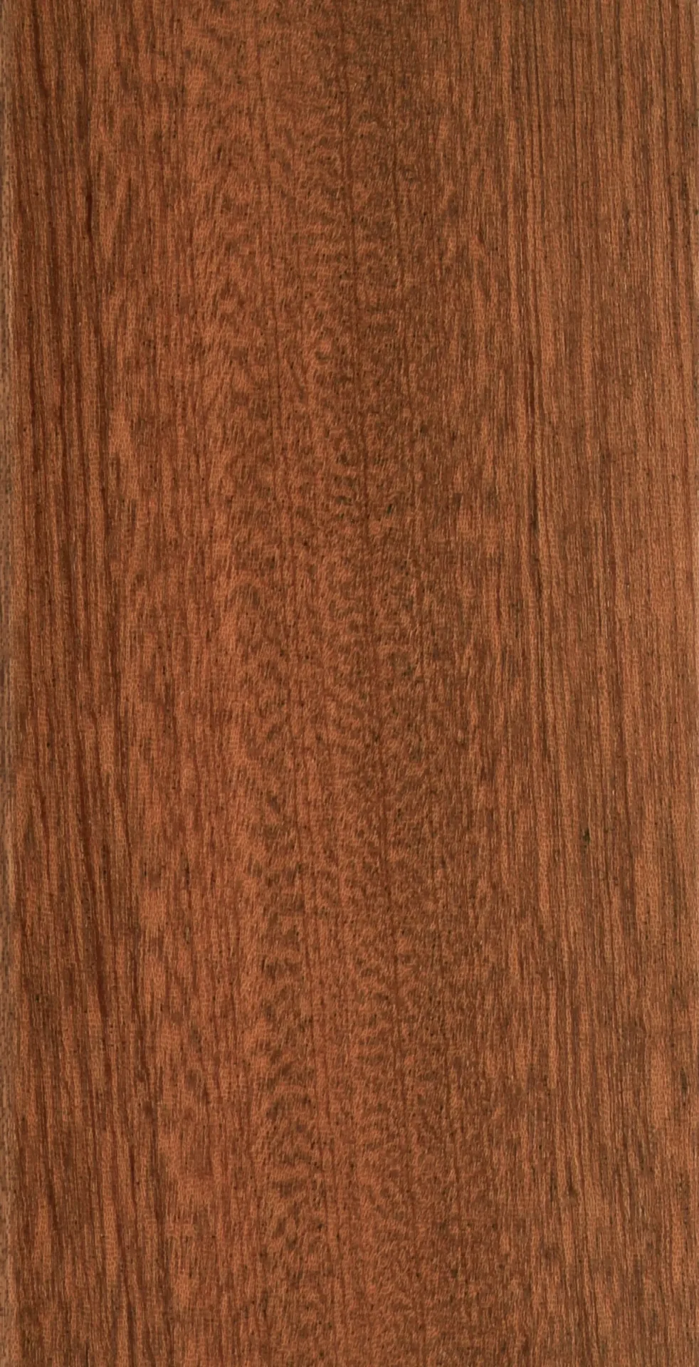 Mahogany natural